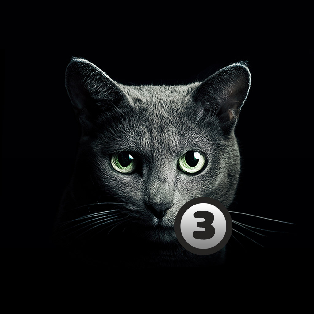 Найди кота 3